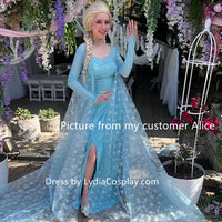 Princess Elsa Dress Cosplay Costume Elsa Sparkling Blue Dress