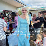 Princess Elsa Dress Cosplay Costume Elsa Sparkling Blue Dress