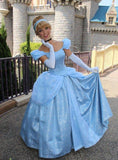 Cinderella Dress for Adults - Park Cosplay Costume Gown for Women
