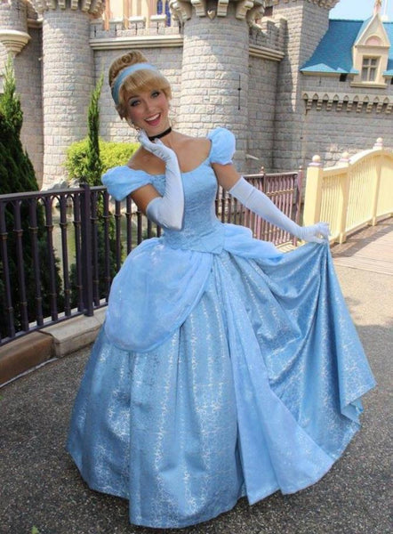 Cinderella Dress for Adults Cinderella Dress for Adults