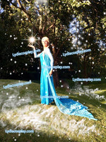 Frozen Princess Elsa Dress for Sale Adult/Girls Costume