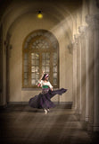 Princess Esmeralda Costume for Women, Esmeralda Gypsy Halloween Costume