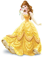 Belle Costume for Adult Women Princess Belle Dress from Belle and The Beast