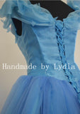 Princess Cinderella Dress for Adults - Cinderella 2015 Costume for Women