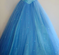 Princess Cinderella Dress for Adults - Cinderella 2015 Costume for Women